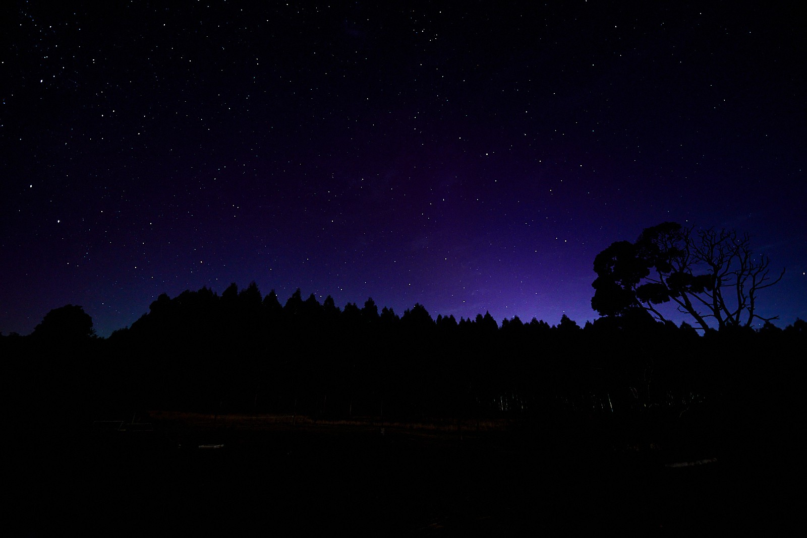 Aurora at Tarkinegrove