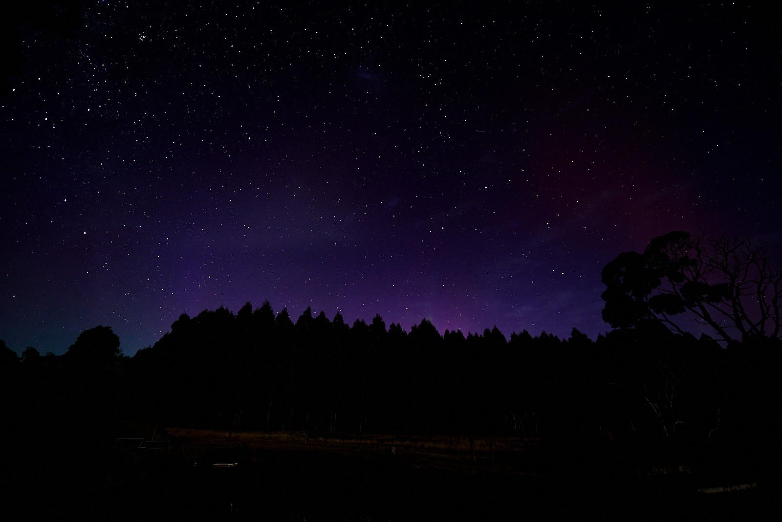 Aurora at Tarkinegrove