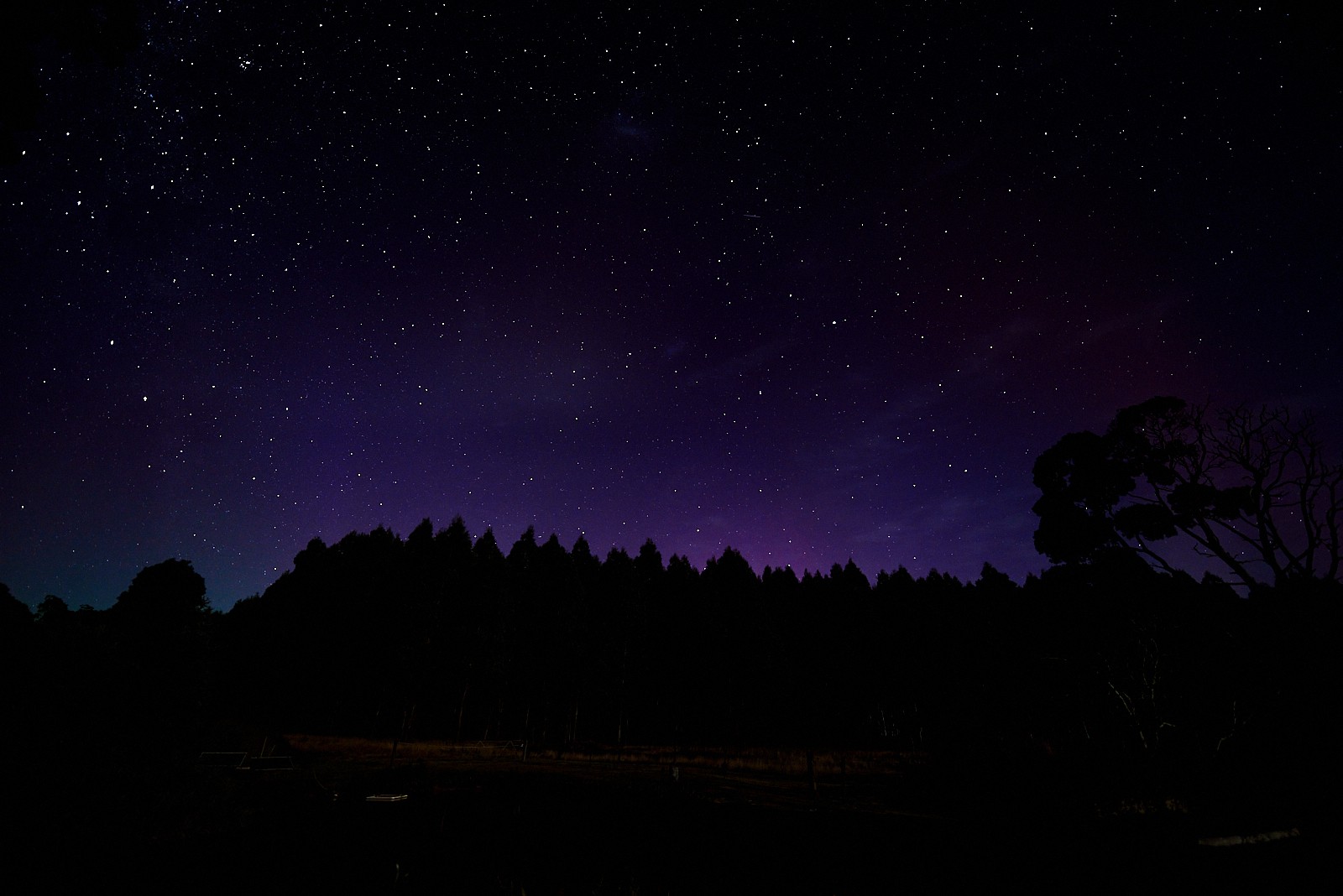 Aurora at Tarkinegrove