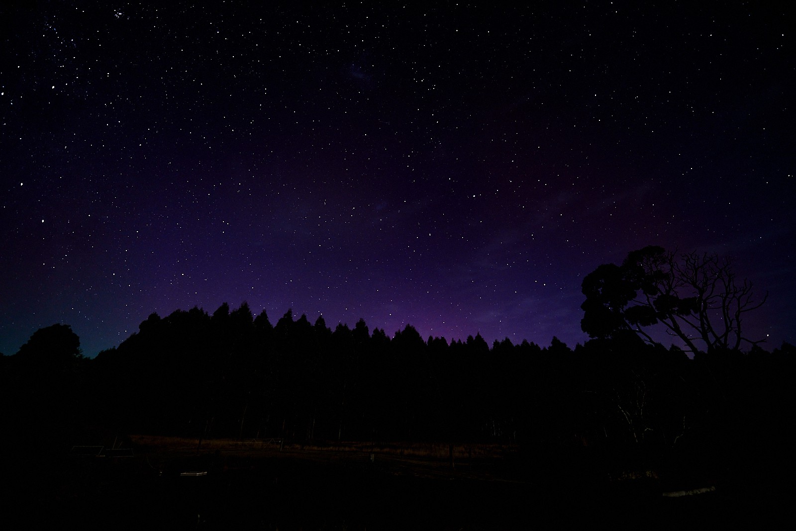 Aurora at Tarkinegrove