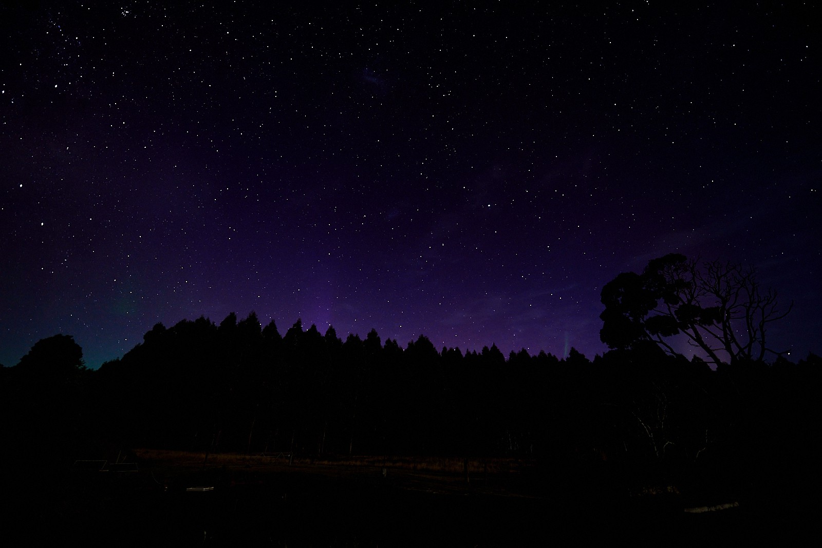 Aurora at Tarkinegrove