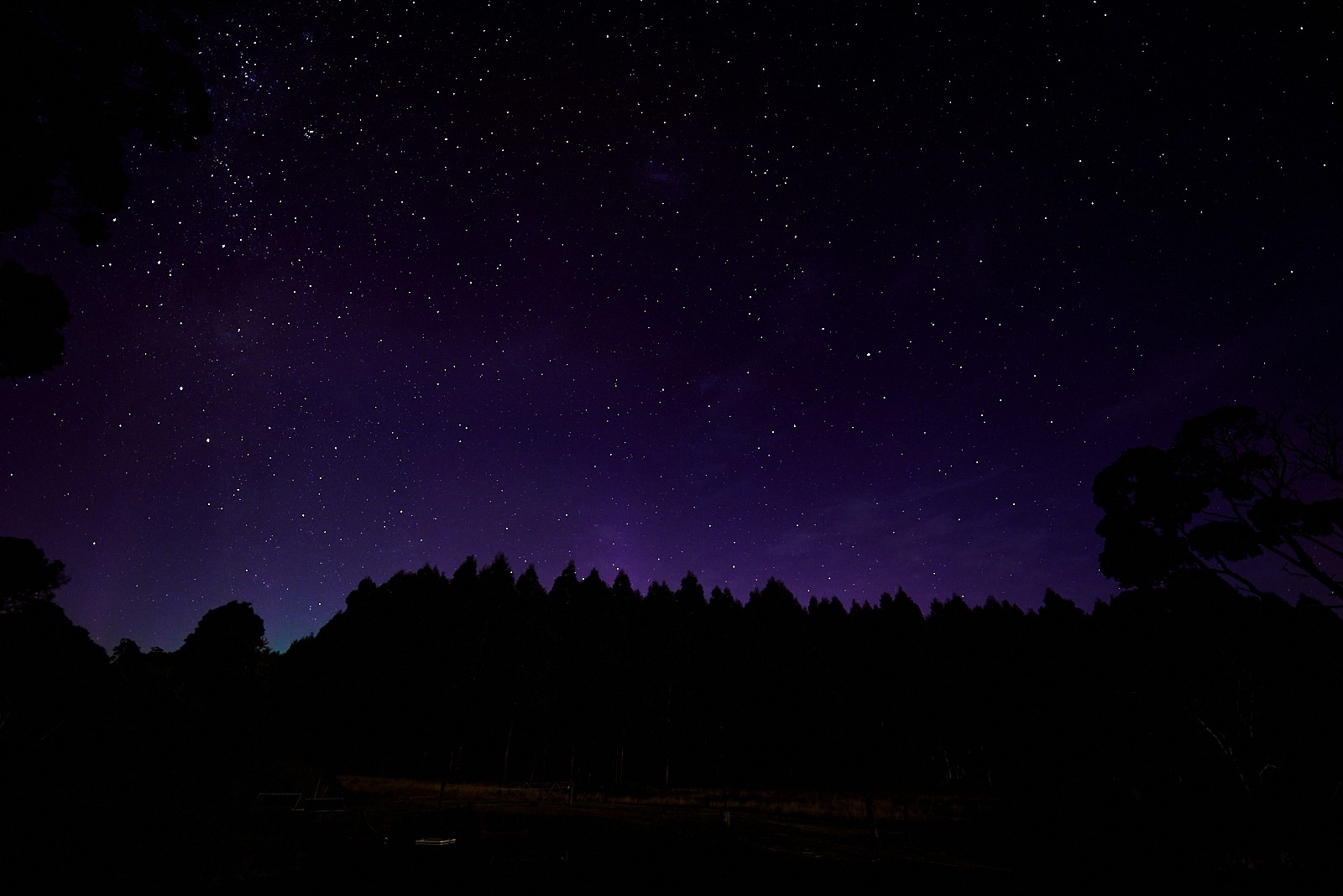 Aurora at Tarkinegrove