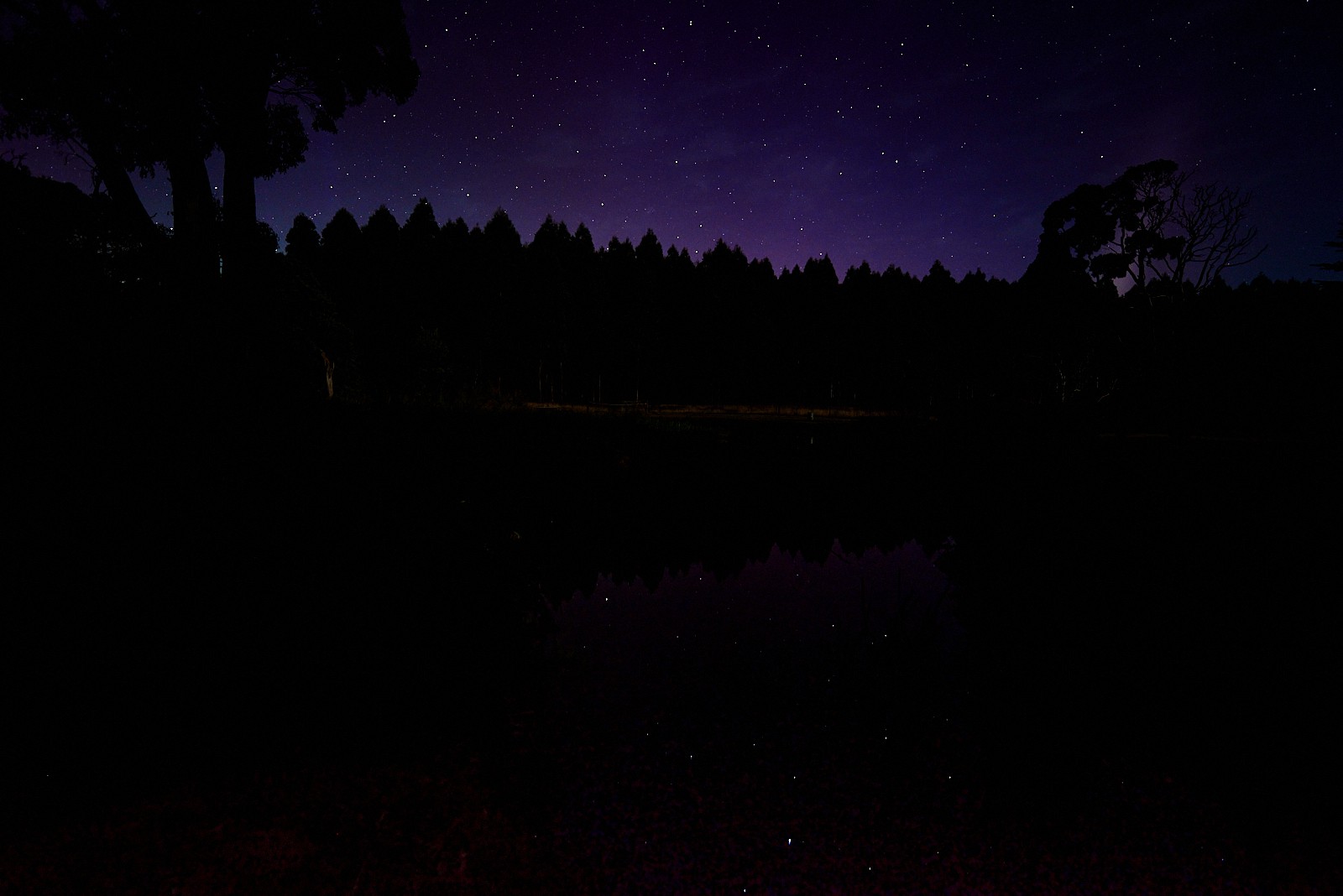 Aurora at Tarkinegrove