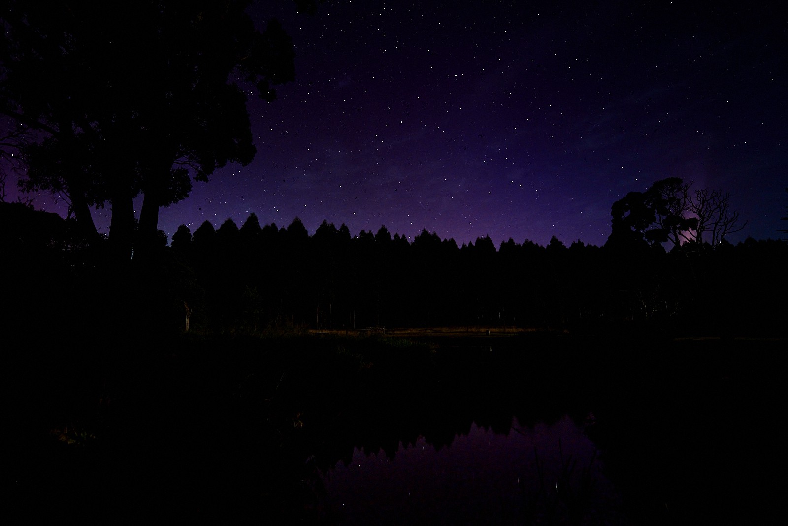 Aurora at Tarkinegrove