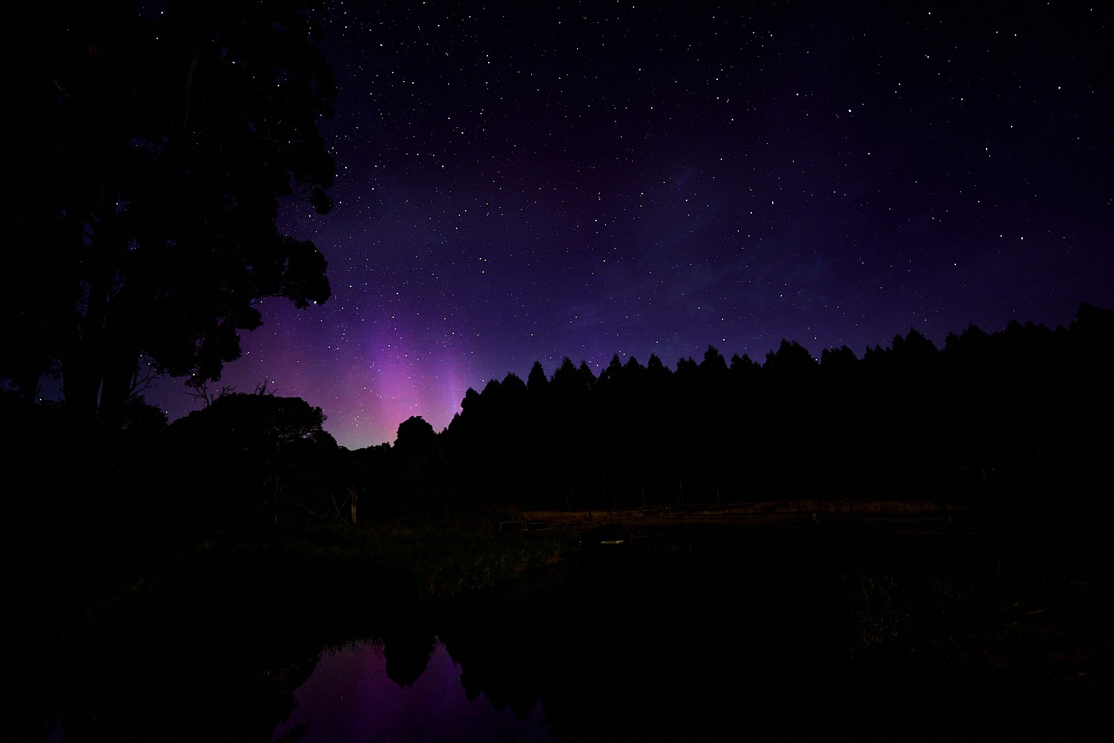 Aurora at Tarkinegrove
