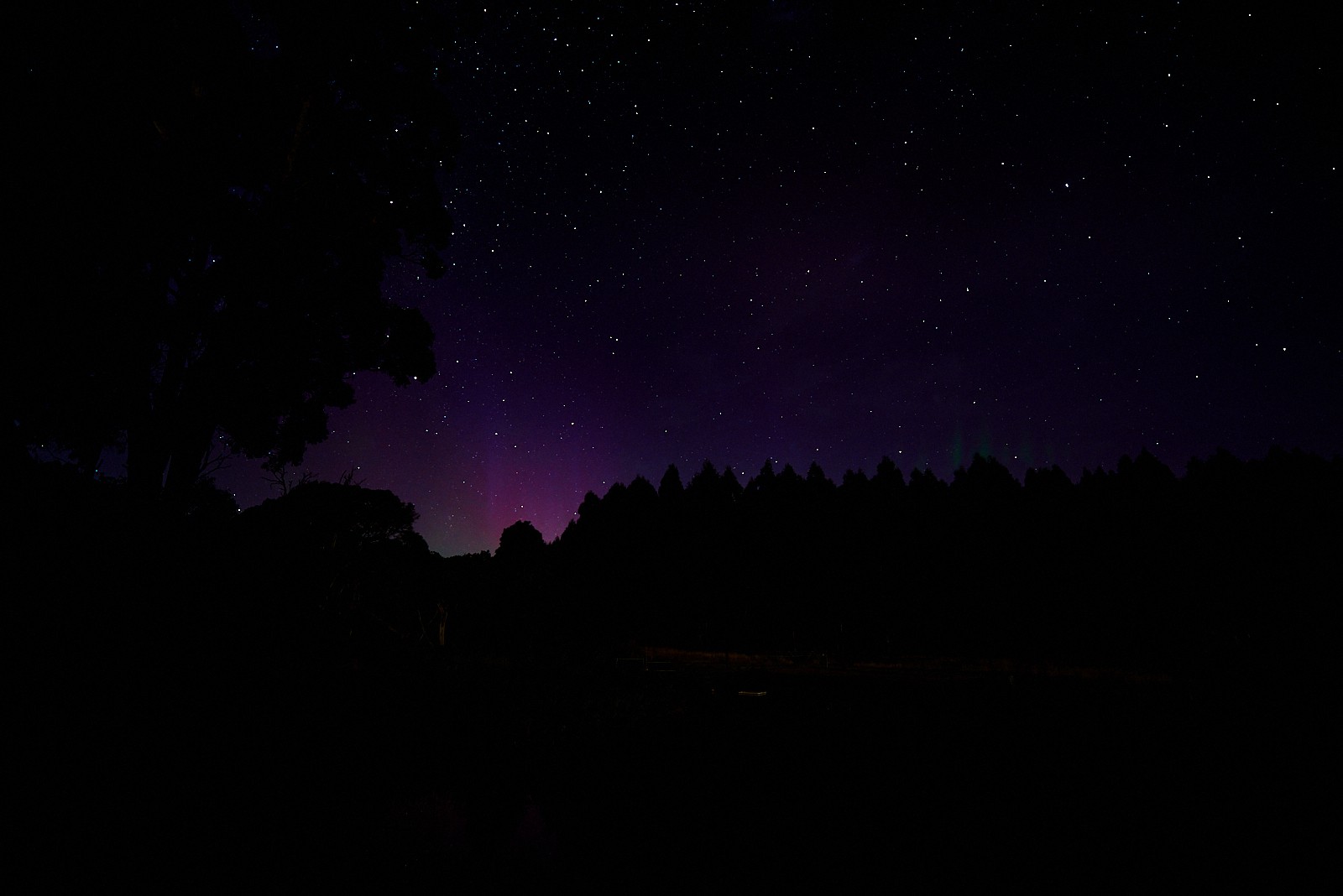 Aurora at Tarkinegrove