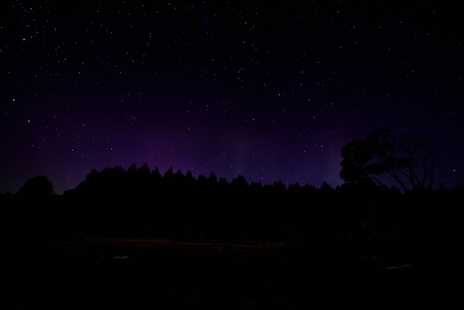 Aurora at Tarkinegrove