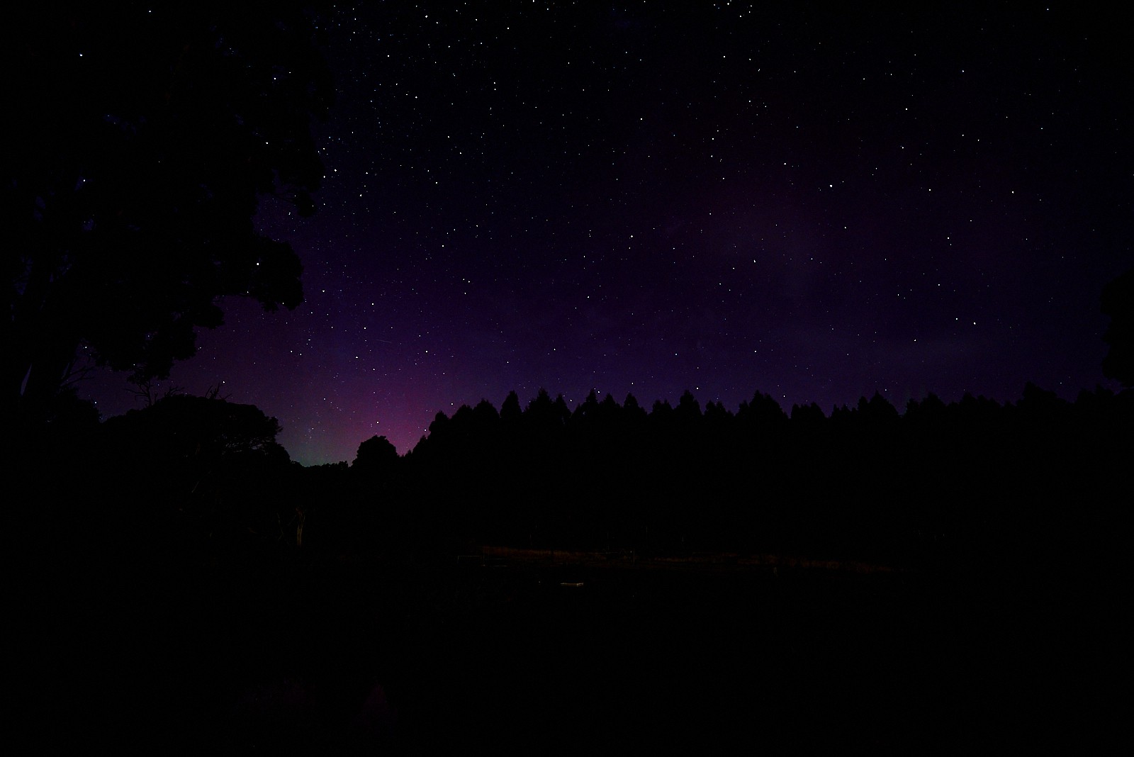 Aurora at Tarkinegrove