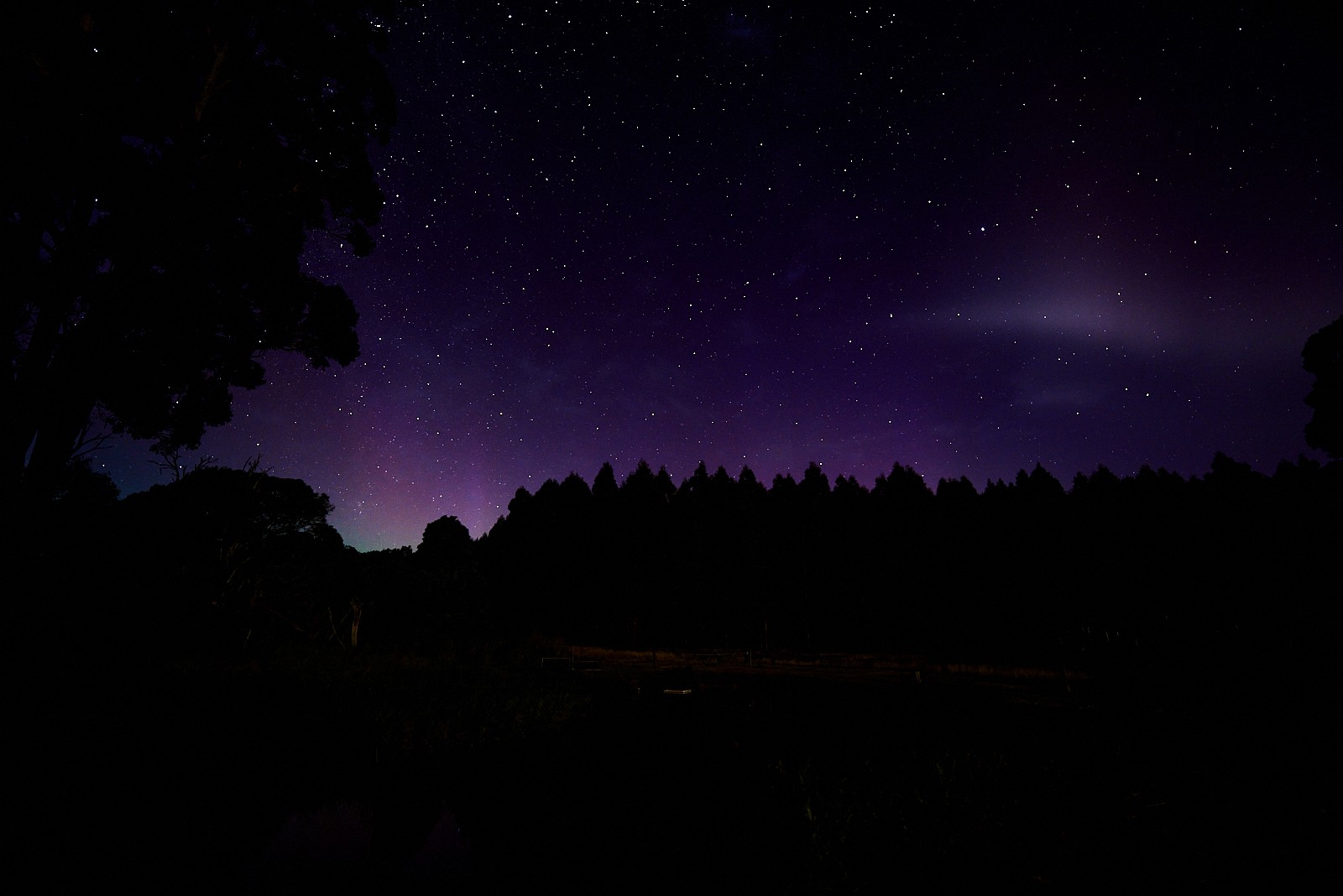 Aurora at Tarkinegrove