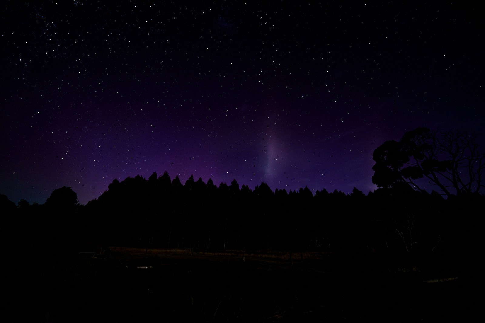Aurora at Tarkinegrove