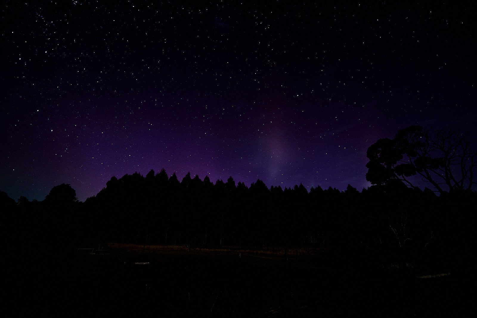 Aurora at Tarkinegrove