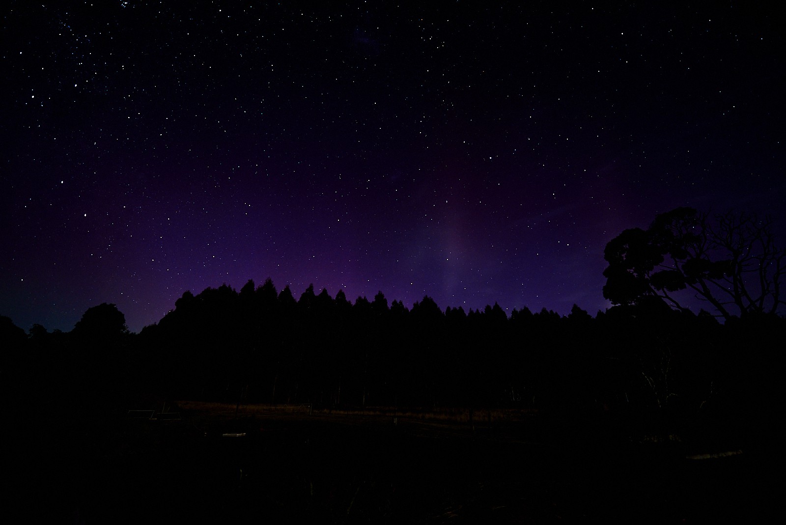 Aurora at Tarkinegrove