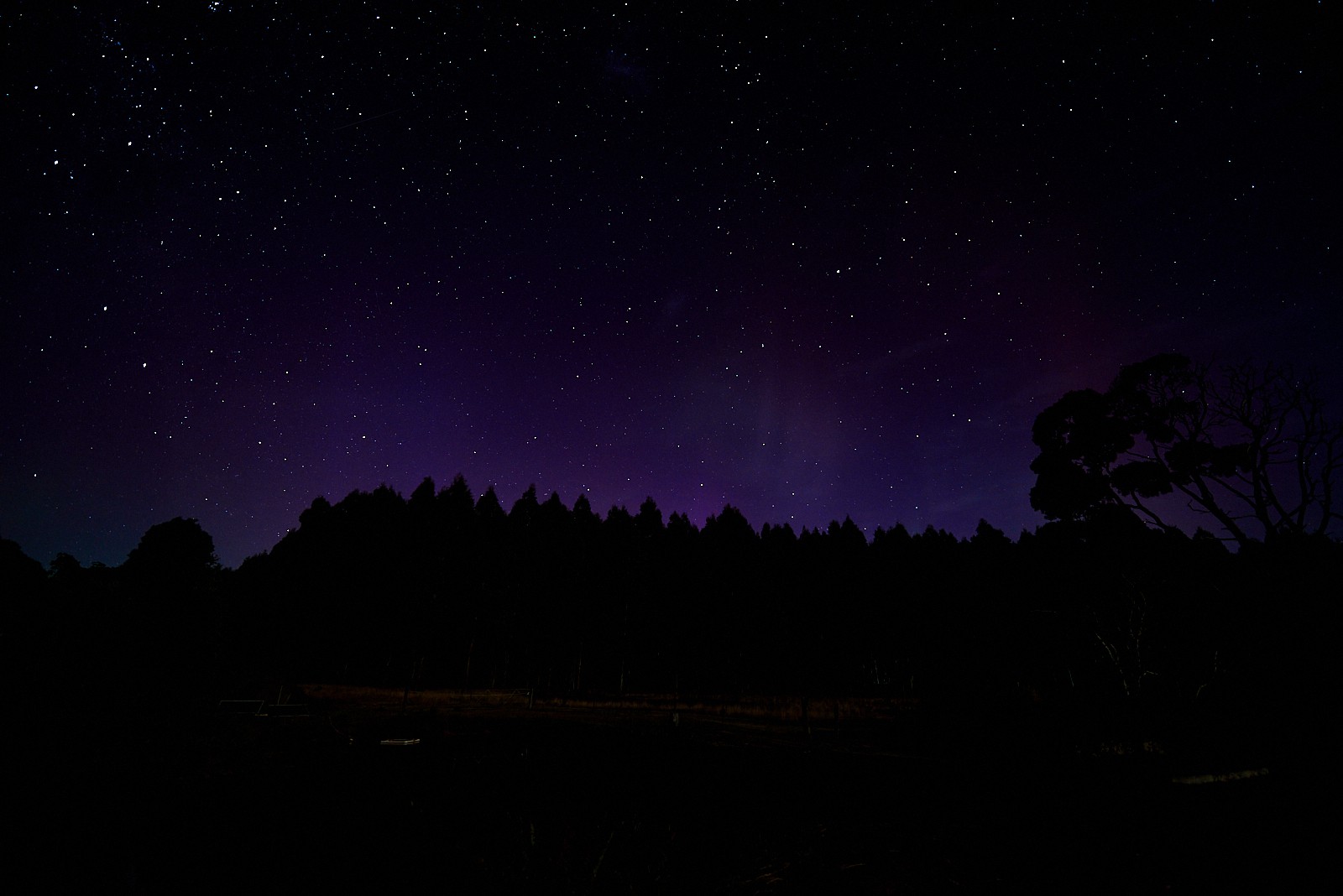 Aurora at Tarkinegrove