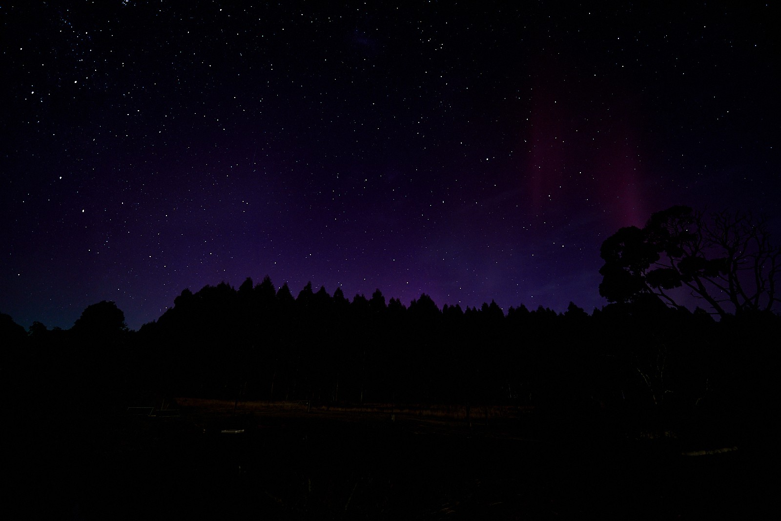 Aurora at Tarkinegrove