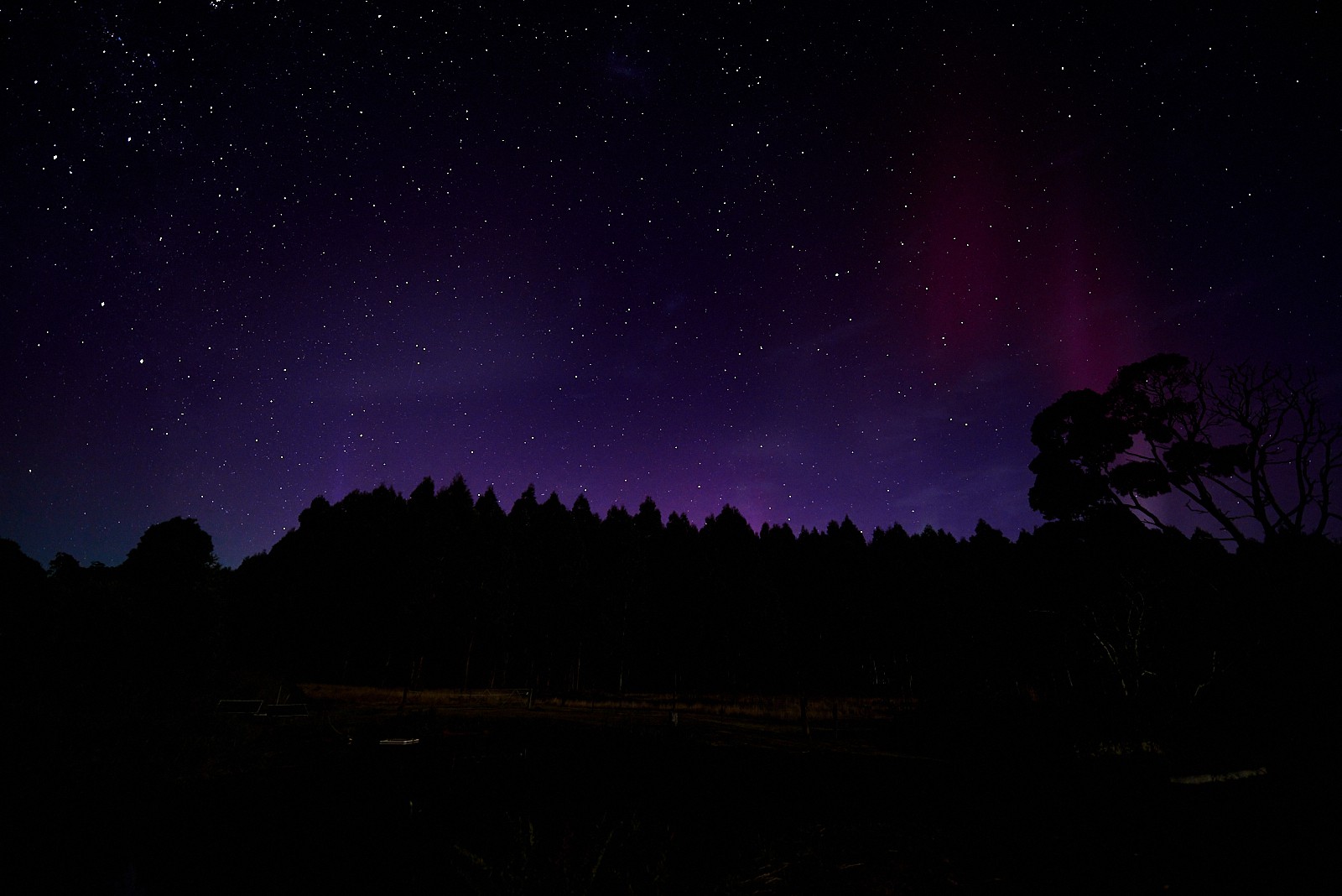 Aurora at Tarkinegrove