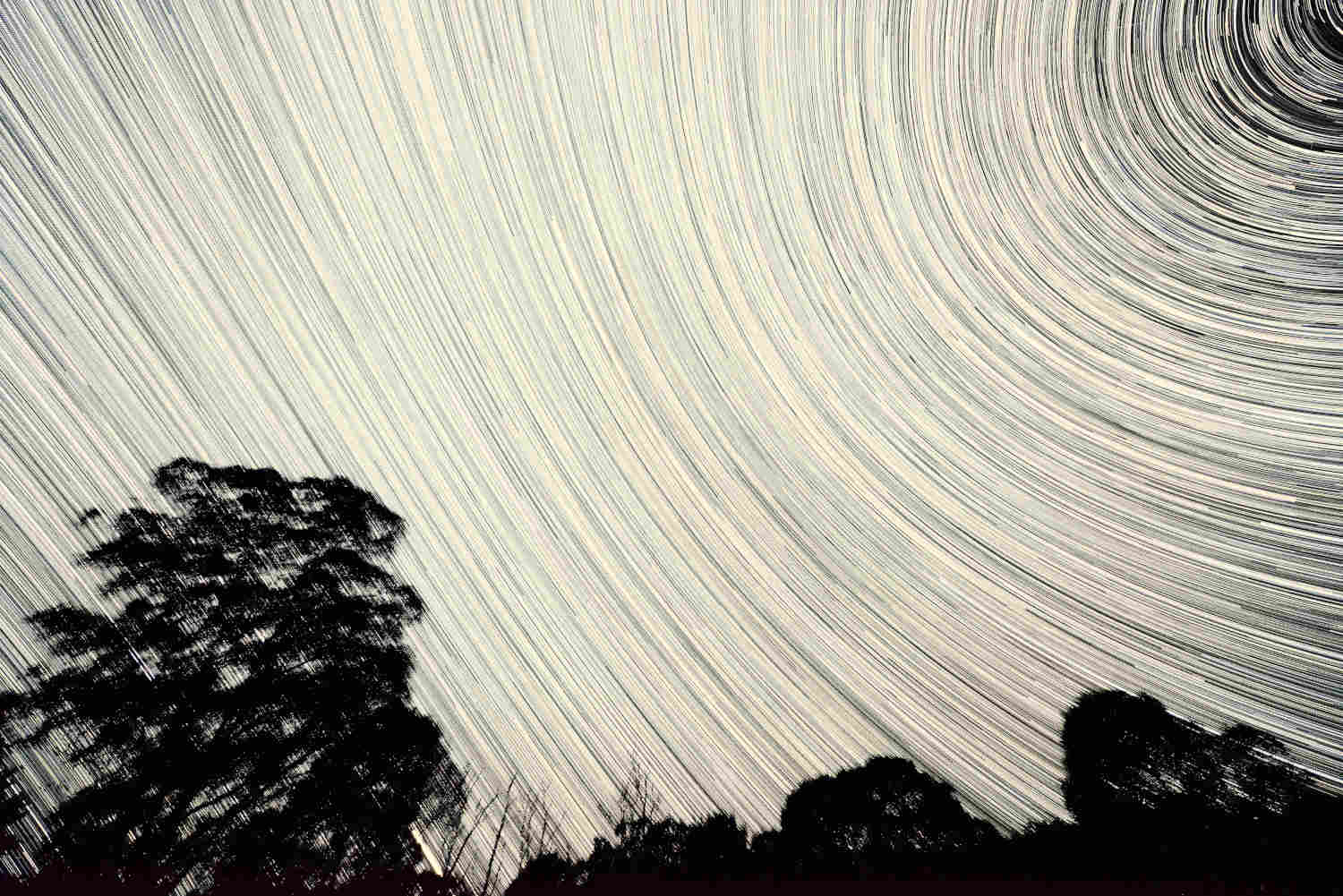 Tarkinegrove night sky