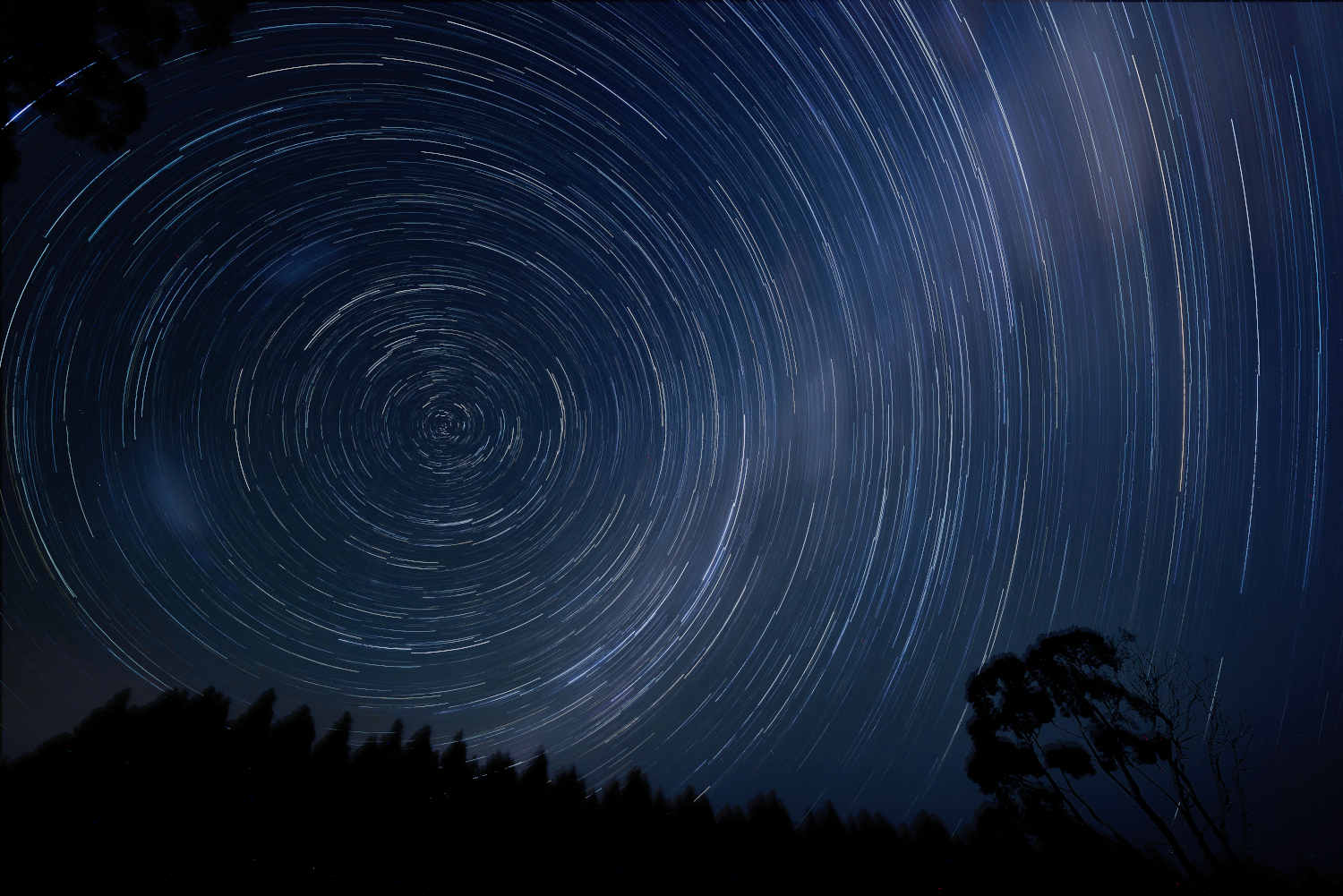 Tarkinegrove night sky