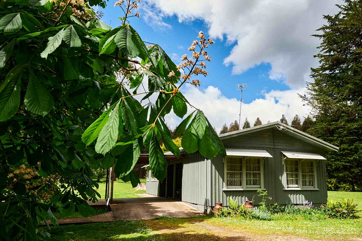 Tarkinegrove cottage
