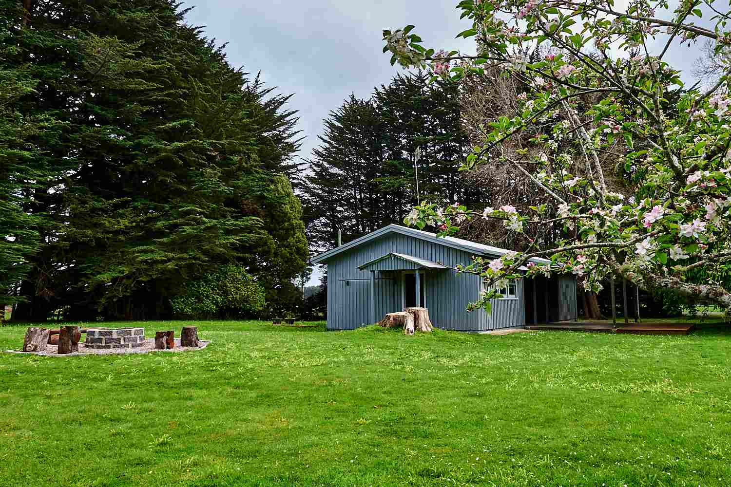 Tarkinegrove cottage