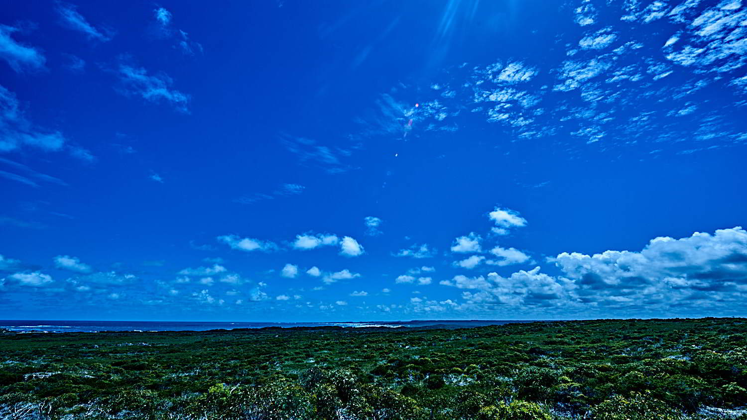 Bluff Hill Point