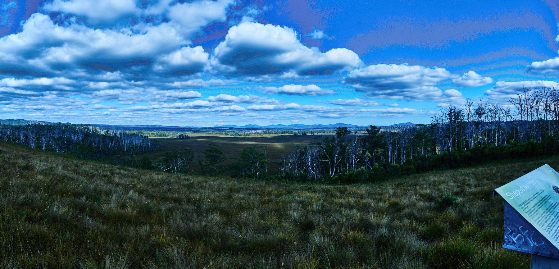 Demsters Plains