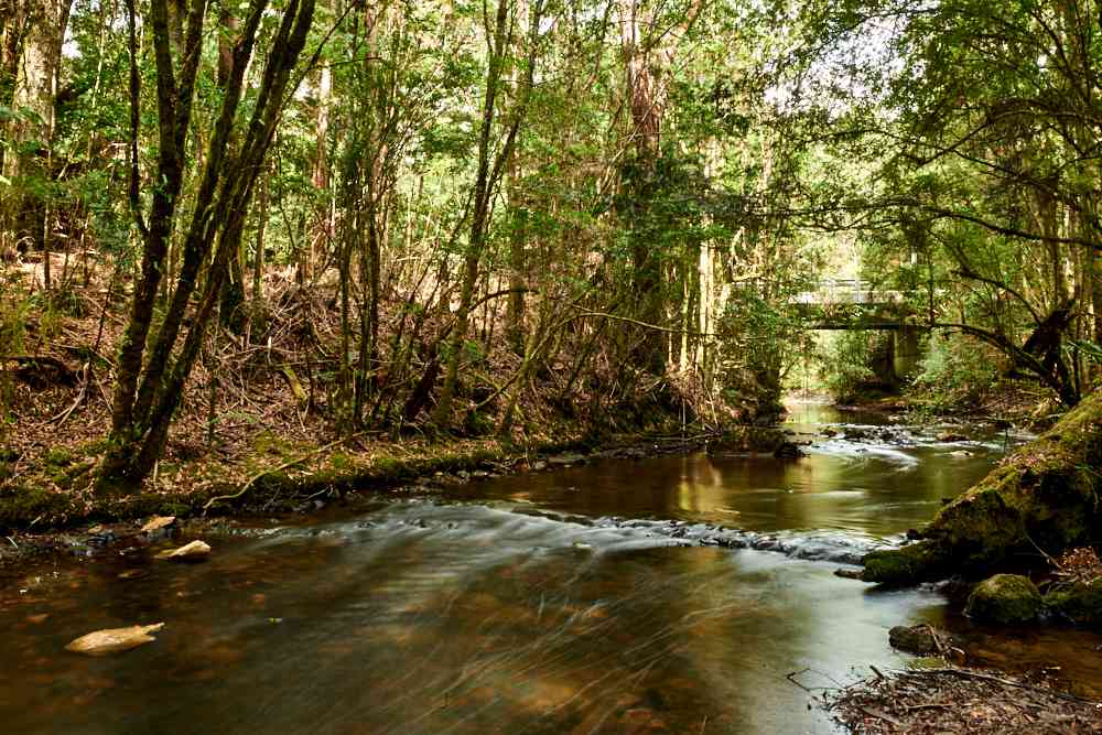 Julius River