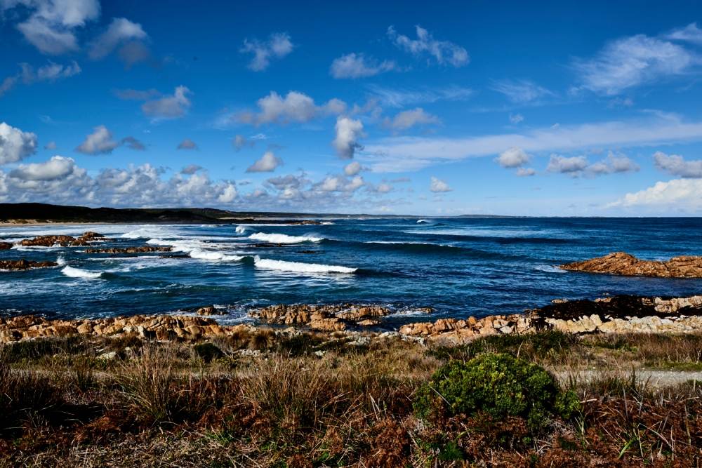 Nelson bay