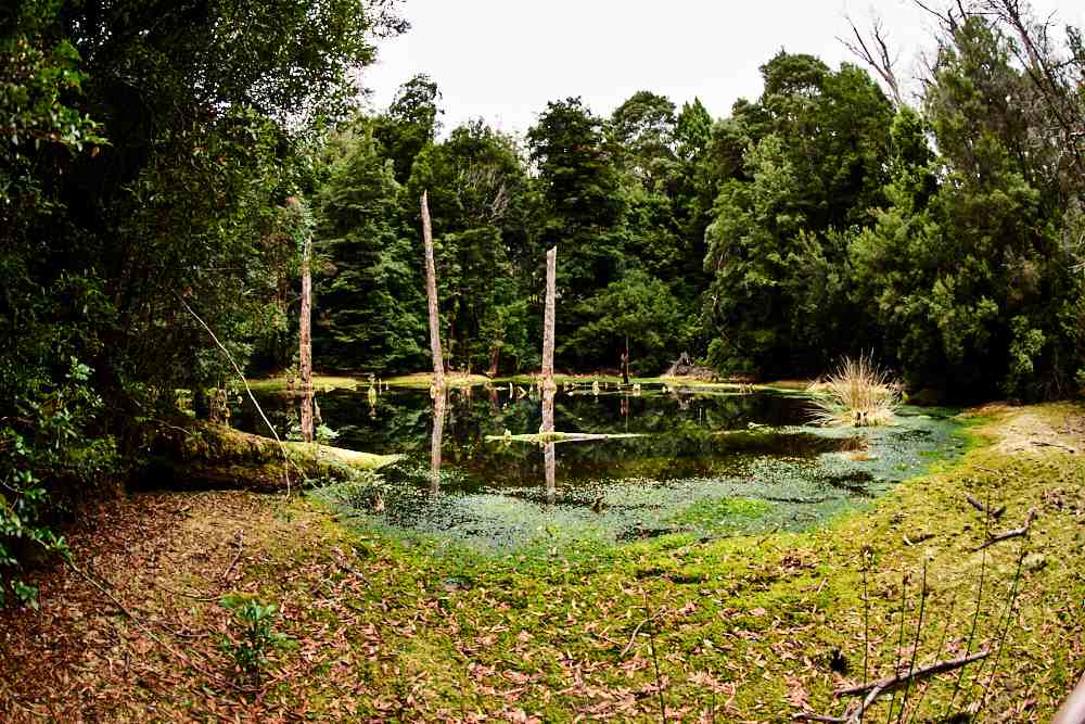 Sinkhole