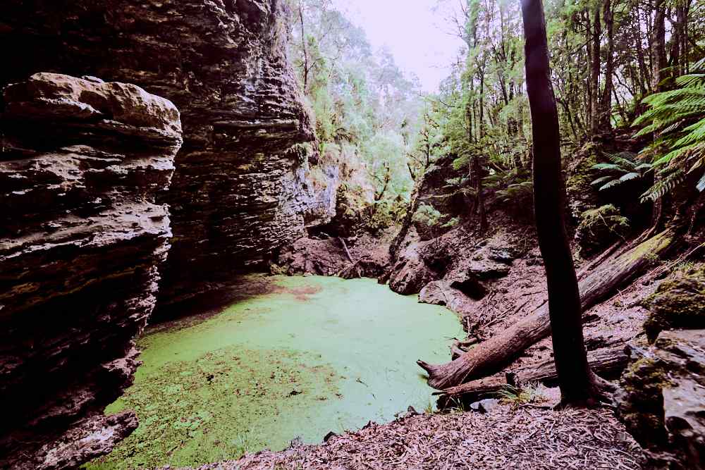 Trowatta Arch