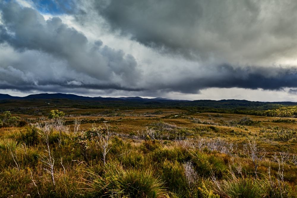 Western Explorer Tarkine