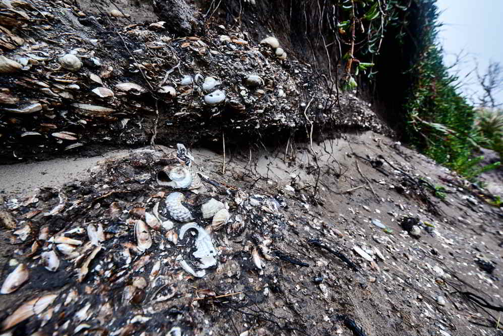 Eroded Midden