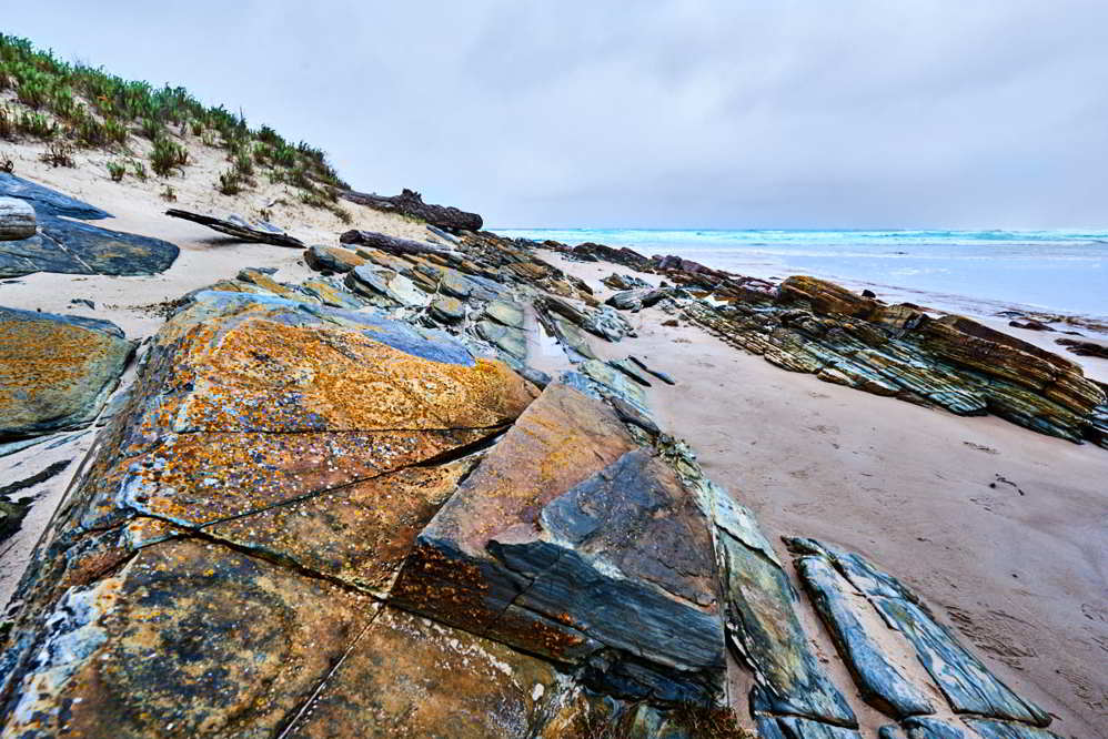 Petroglyphs edge of Wild Great Southern Ocean