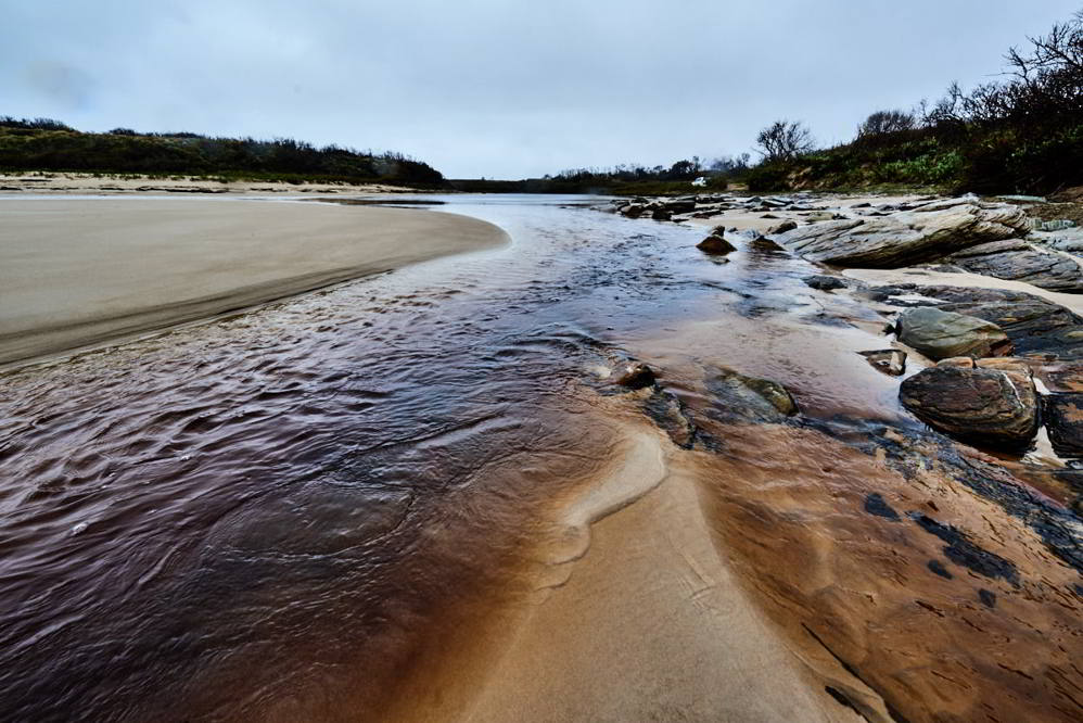 Wild Great Southern Ocean